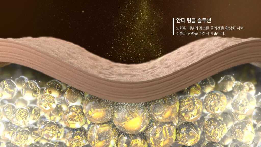 피부 주름과 탄력 변화를 표현한 안티링클 3D 시각화