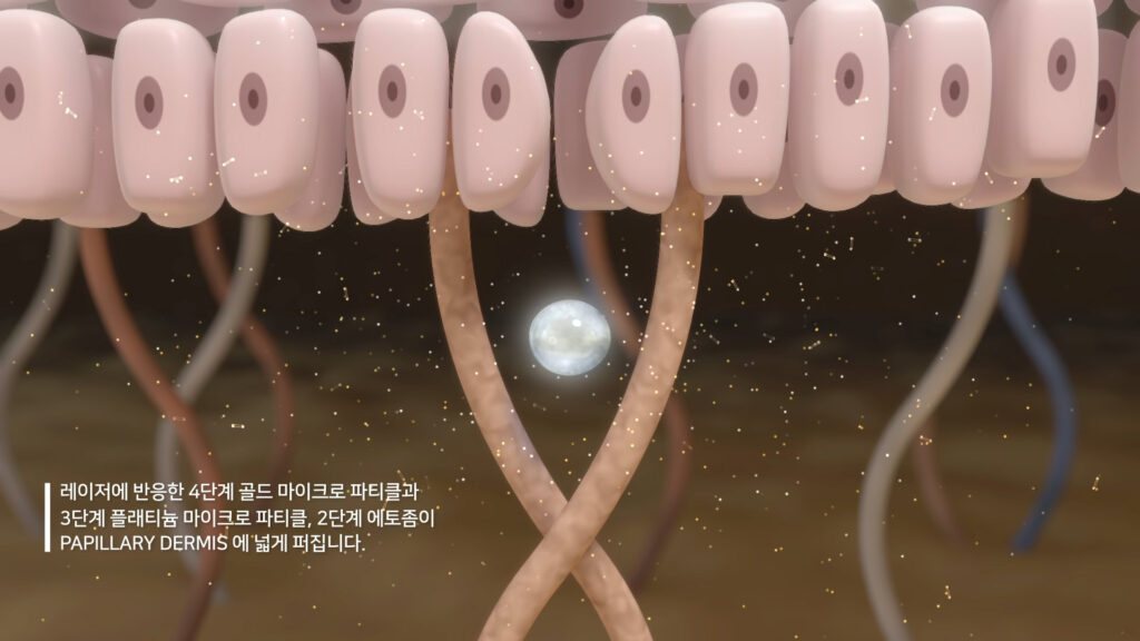 에토좀 PTT 마이크로 파티클이 피부 내부로 확산되는 3D 시각화